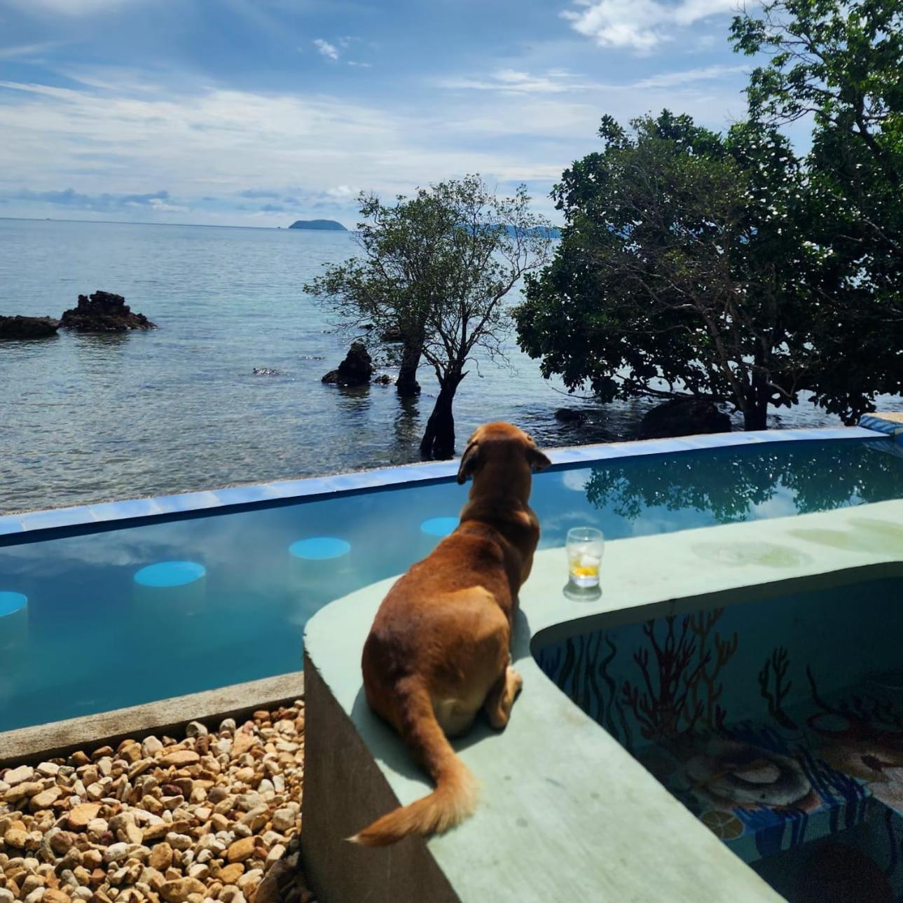 Cocovana Beach Resort (Adults Only) 부수안가 외부 사진